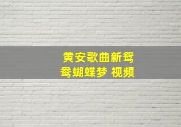 黄安歌曲新鸳鸯蝴蝶梦 视频